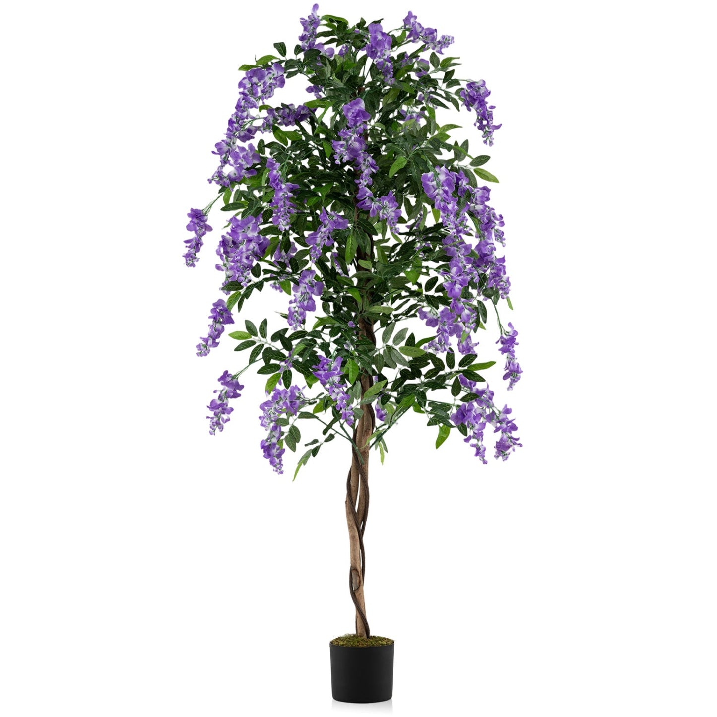 Set of 2 Fake Ficus Plant 6 FT Artificial Wisteria Tree with Natural Trunks and Purple Lifelike Flowers