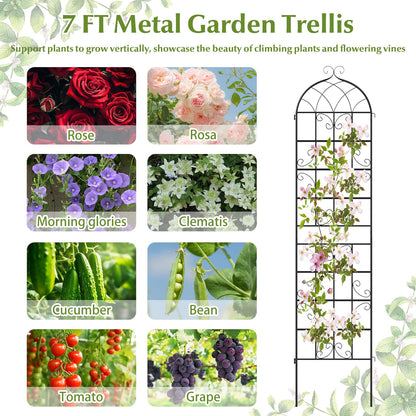 2 Pack 86" x 20" Metal Garden Trellis for Outdoor Climbing Plants