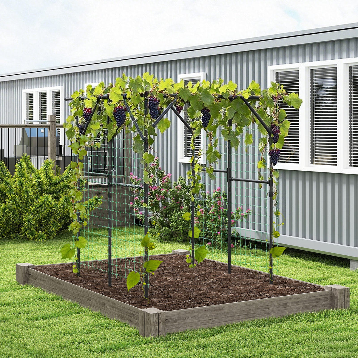 Large Garden Arch Trellis for Climbing Plants Outdoor Grape Vine Support-Black