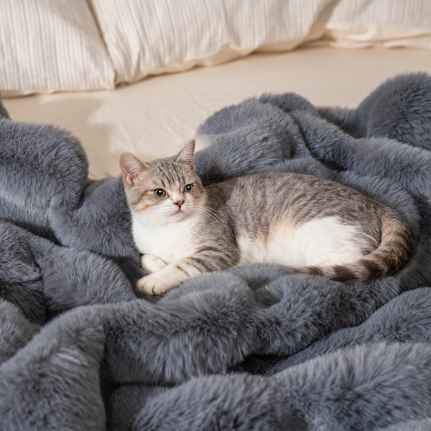 Faux Rabbit Fur Throw Blanket 60x80 Double-Sided Plush