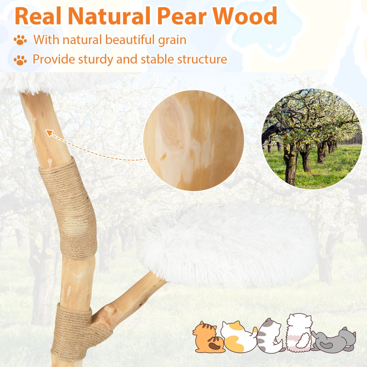 Wooden Cat Tree Tower with Perch and Scratching Posts