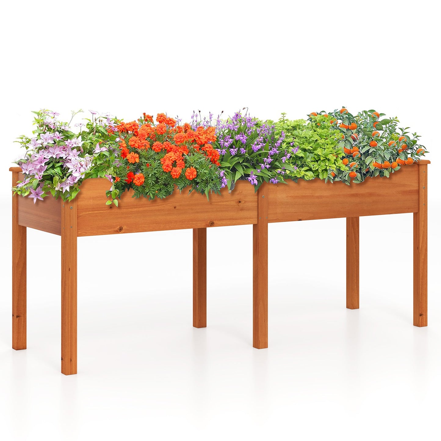 Fir Wood Outdoor Raised Garden Bed with Divider Panel and Drainage Holes