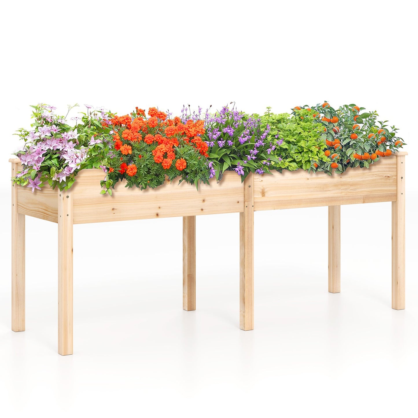 Fir Wood Outdoor Raised Garden Bed with Divider Panel and Drainage Holes