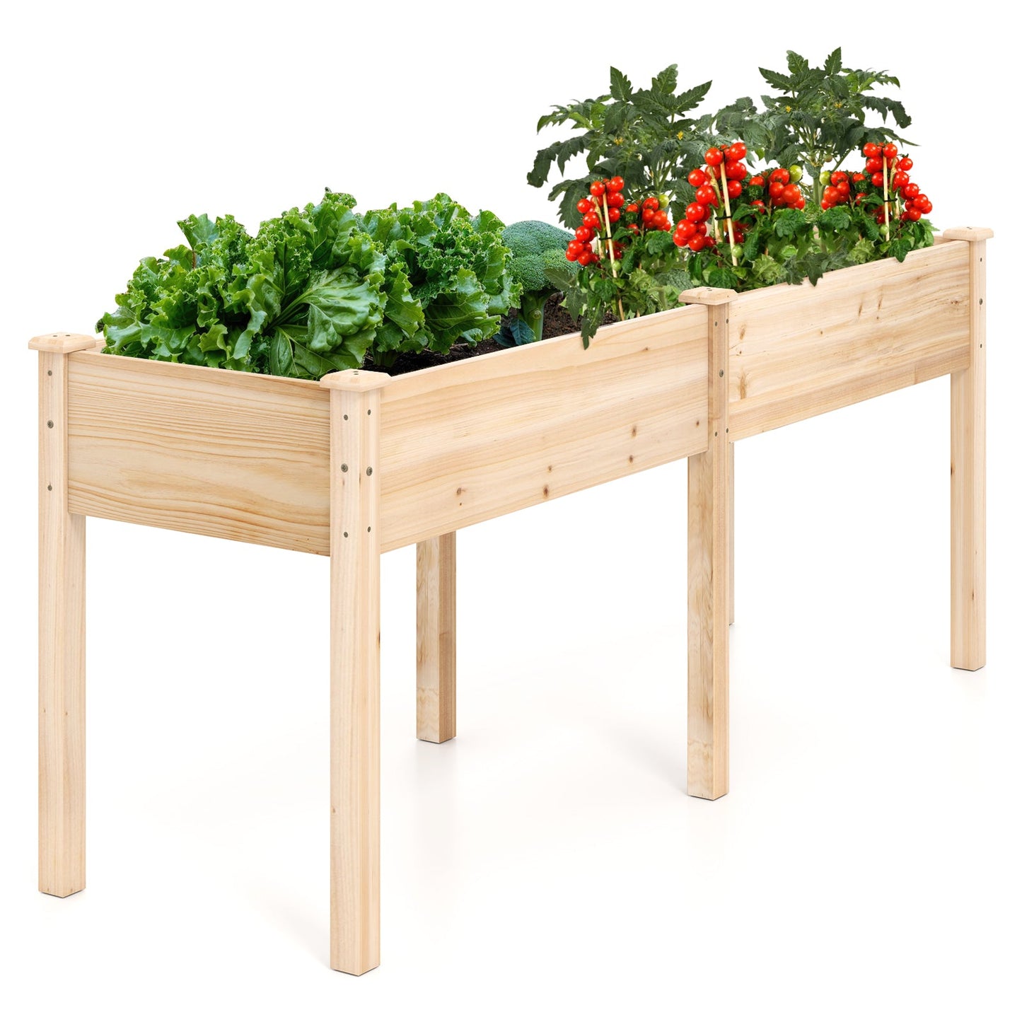 Fir Wood Outdoor Raised Garden Bed with Divider Panel and Drainage Holes