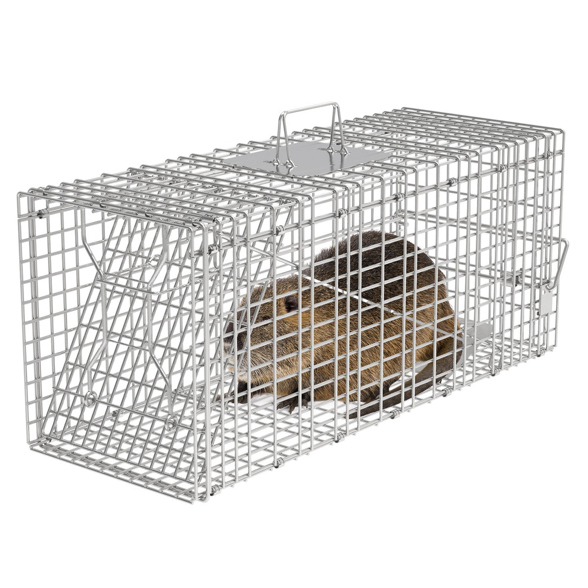 PT_32X12.5X12InAnimalTrap_GPCT3964
