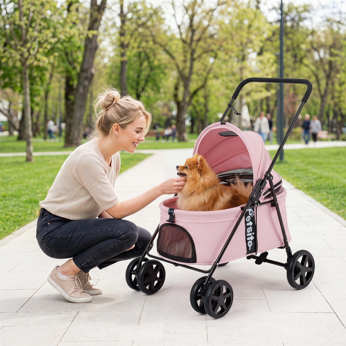 Foldable Pet Stroller for Small to Medium Dogs with Brake