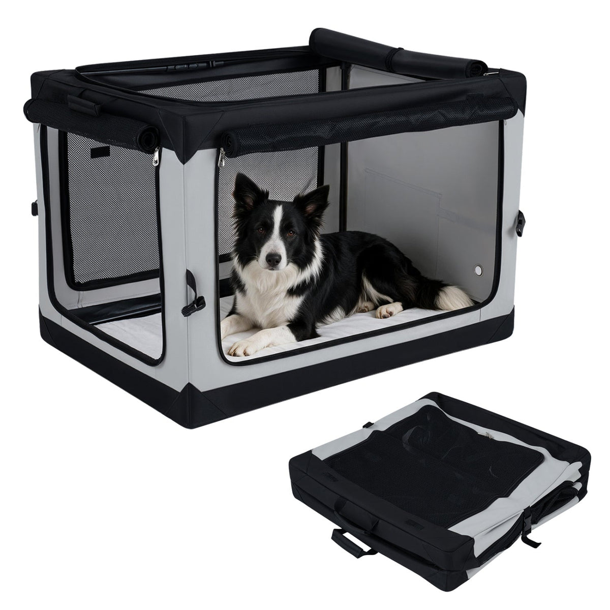 Collapsible Soft Dog Crate with 4 Mesh Doors - Large