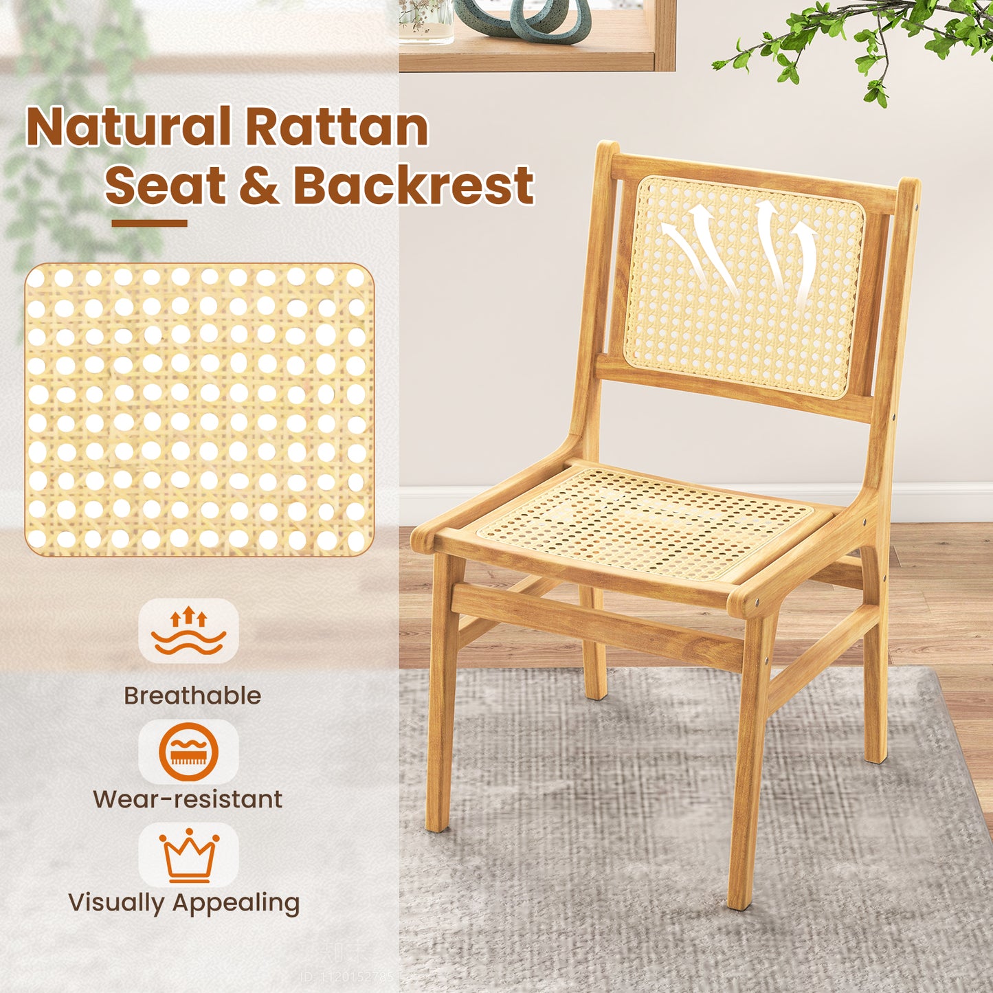 Rattan Dining Chair with Teak Wood Frame and Cane Backrest