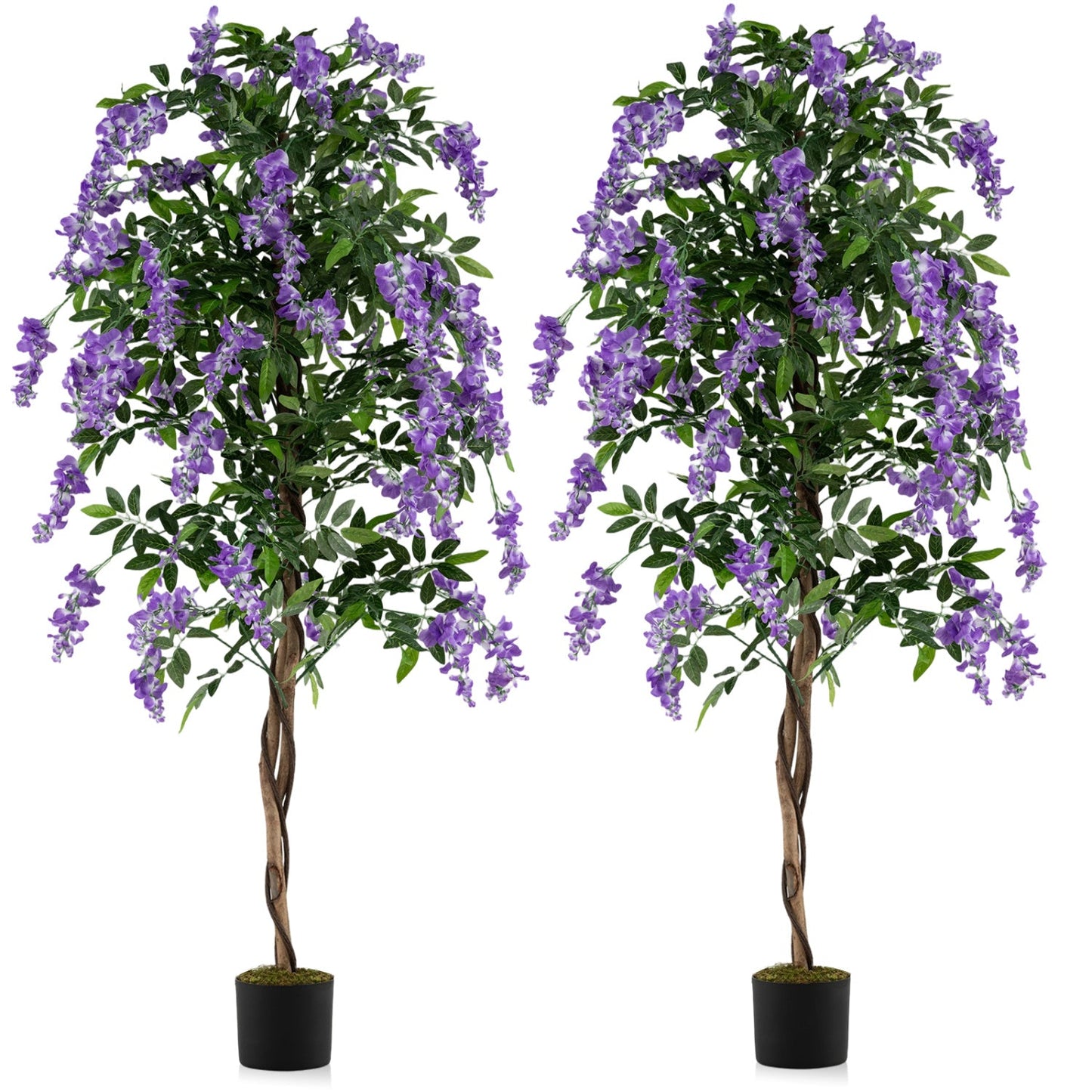 Set of 2 Fake Ficus Plant 6 FT Artificial Wisteria Tree with Natural Trunks and Purple Lifelike Flowers