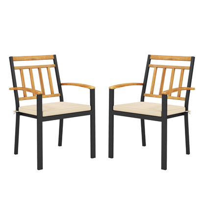 Patio Dining Chairs Set of 2 with Removable Cushions