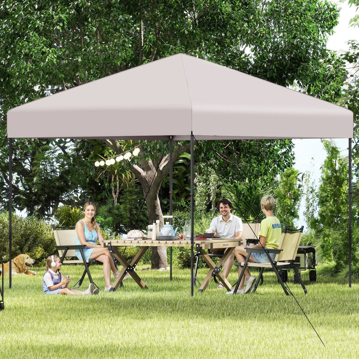 10 X 10 Feet Pop up Canopy Tent with Portable Carrying Bag and 8 Stakes