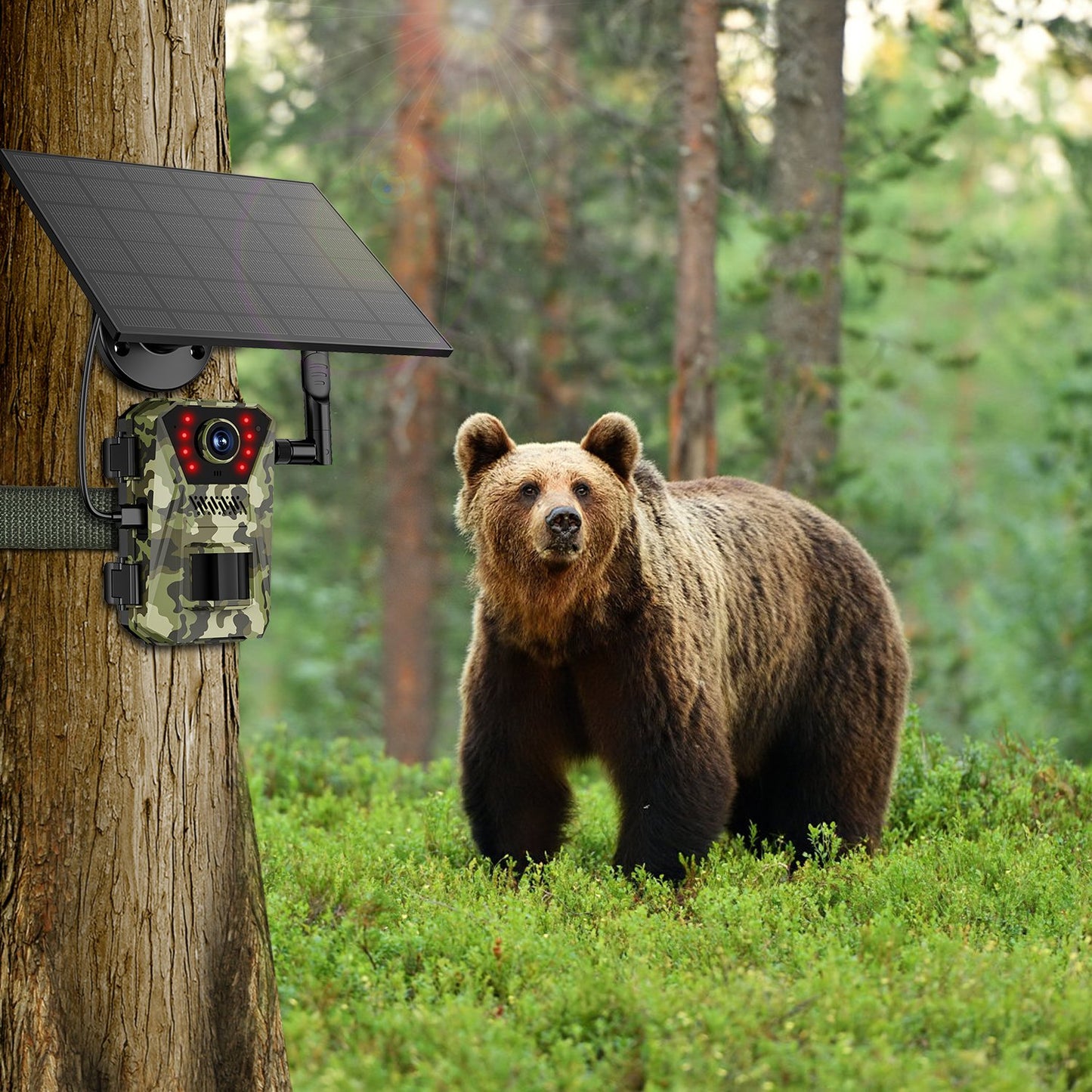 4K Solar Trail Camera with 4G Connectivity & Night Vision