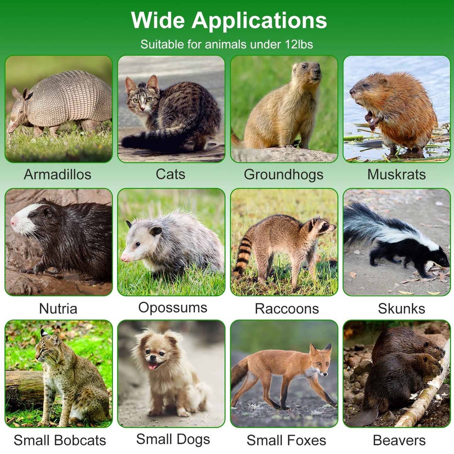 40in Humane Live Animal Trap Cage for Raccoons & Opossums
