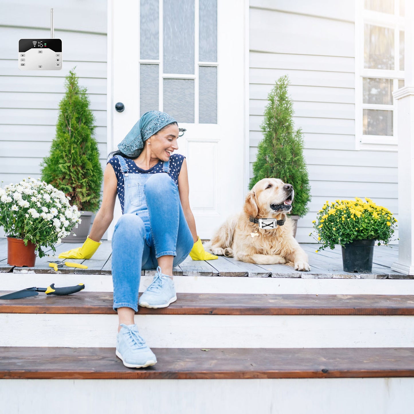 Wireless Electric Dog Fence & Training Collar System