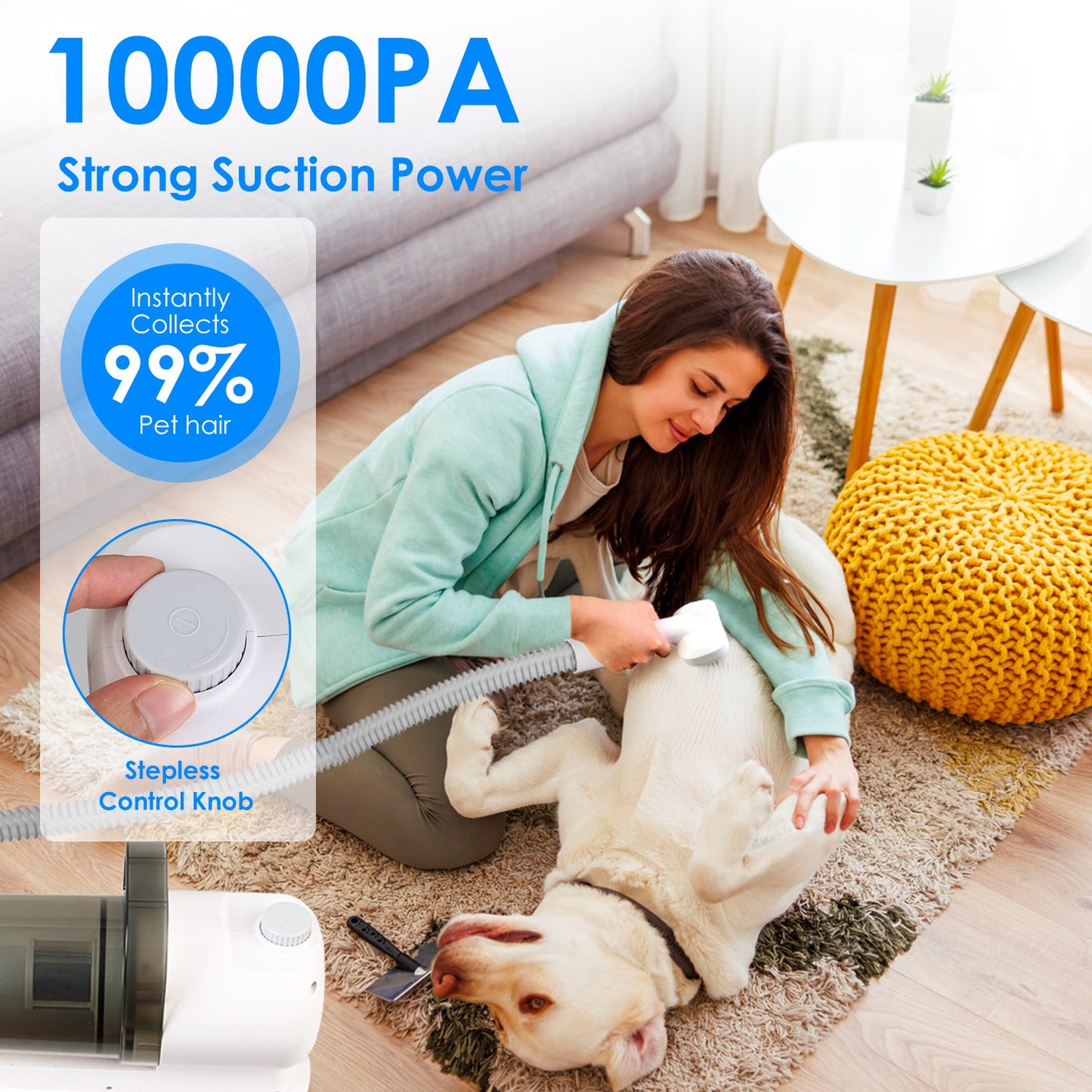 Pet Grooming Vacuum Kit with 7 Tools & 10000PA Suction