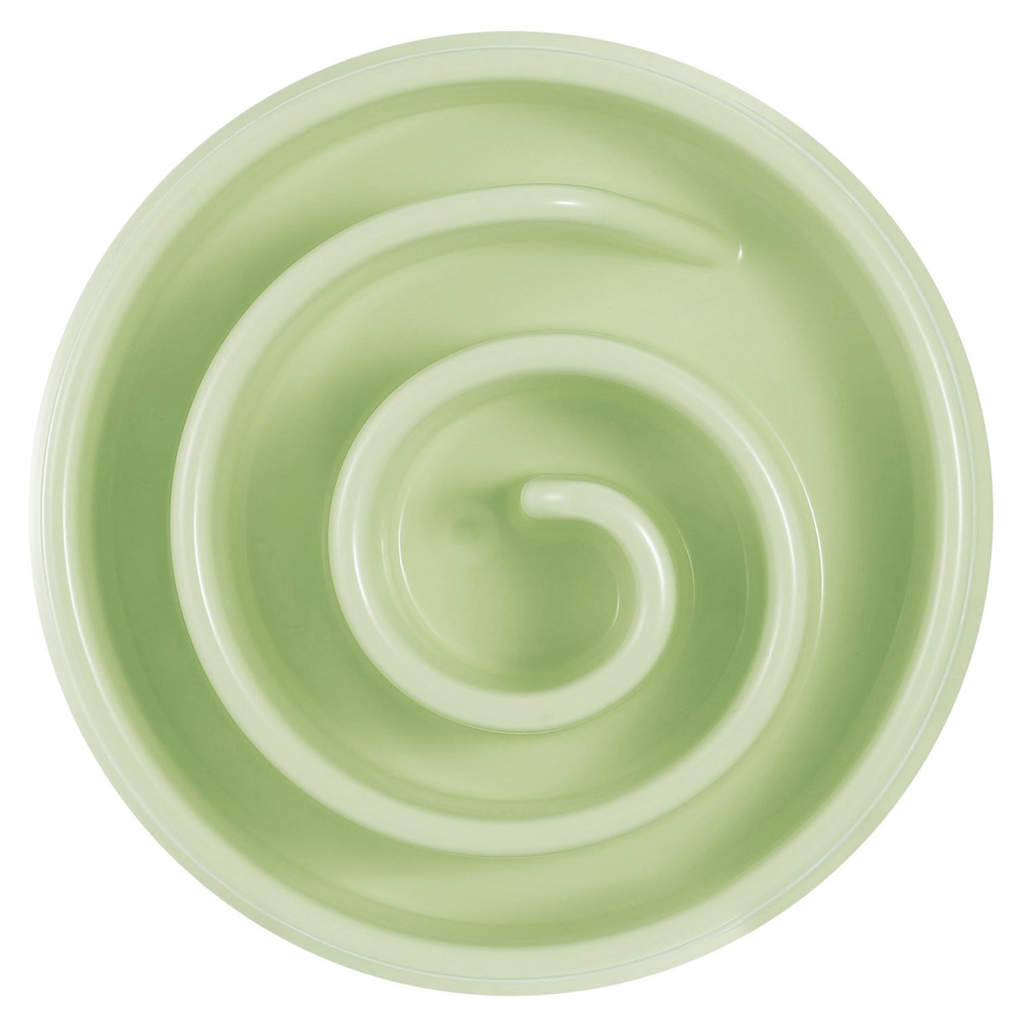 Slow Feeder Dog Bowl with Maze Design for Small & Medium Dogs