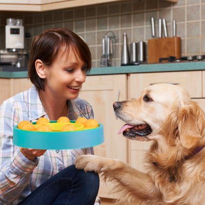 Dog Puzzle Feeder Slow Feed Bowl with Rotating Granaries