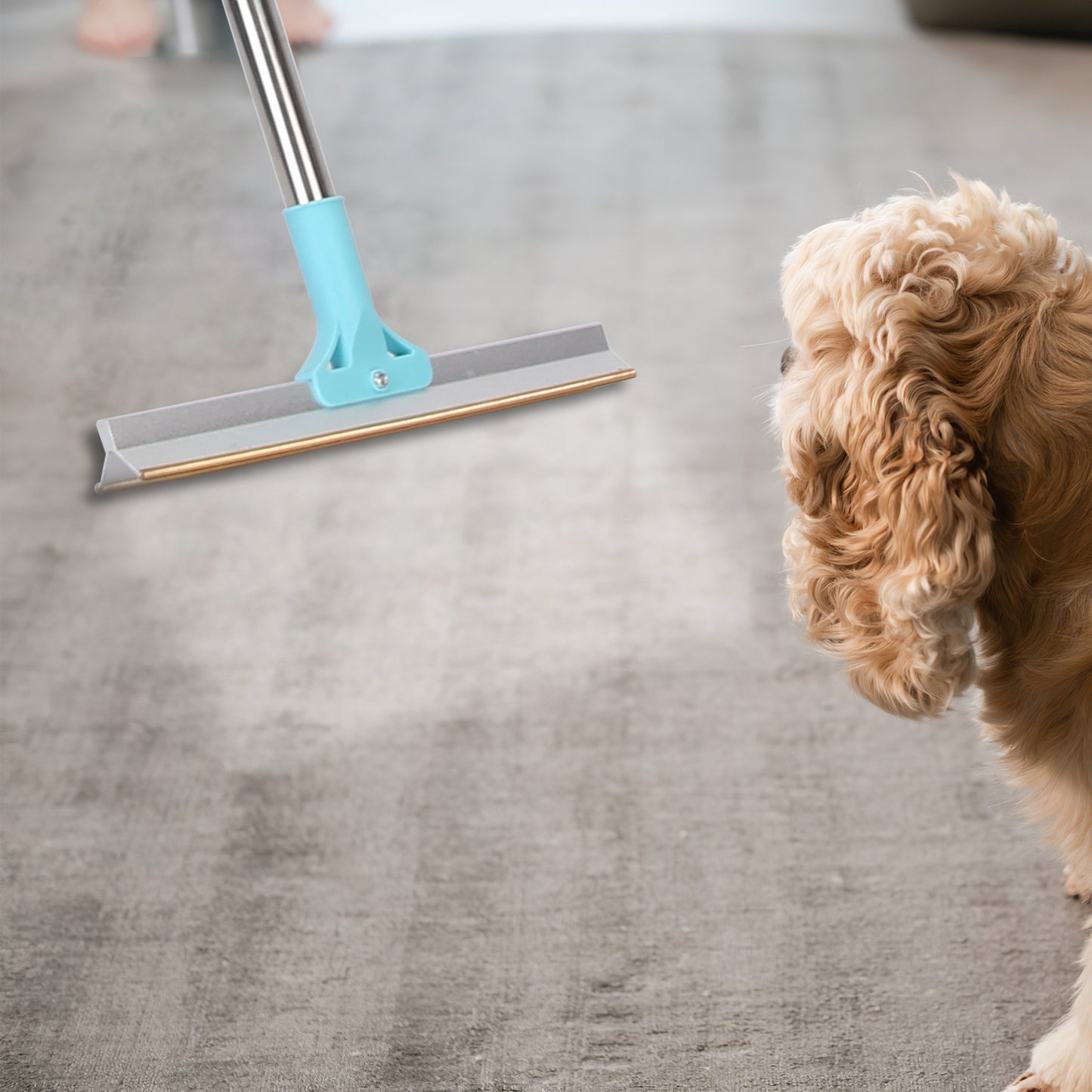 Pet Hair Removal Rake with 54" Adjustable Telescopic Handle
