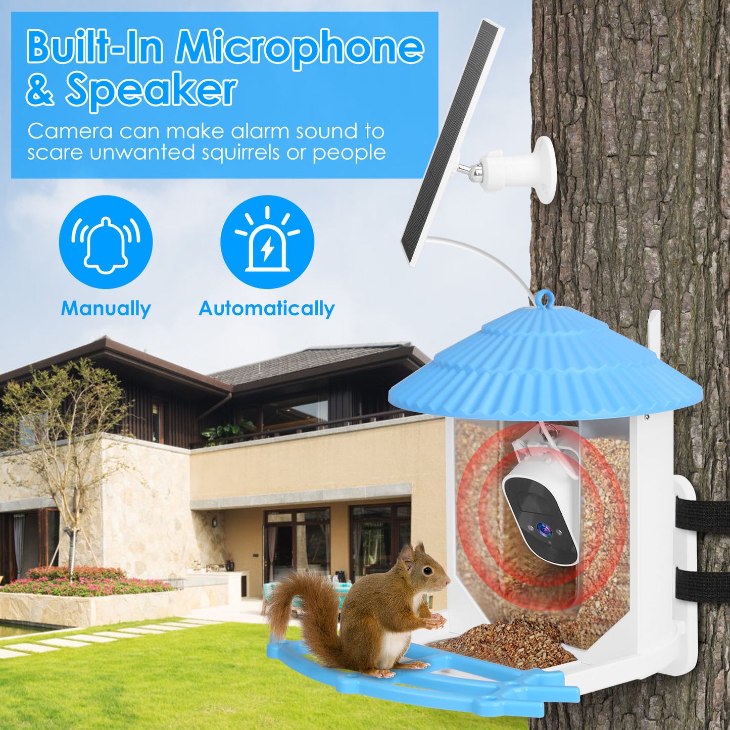 Solar Powered Smart Bird Feeder with 2K Camera & AI Identification