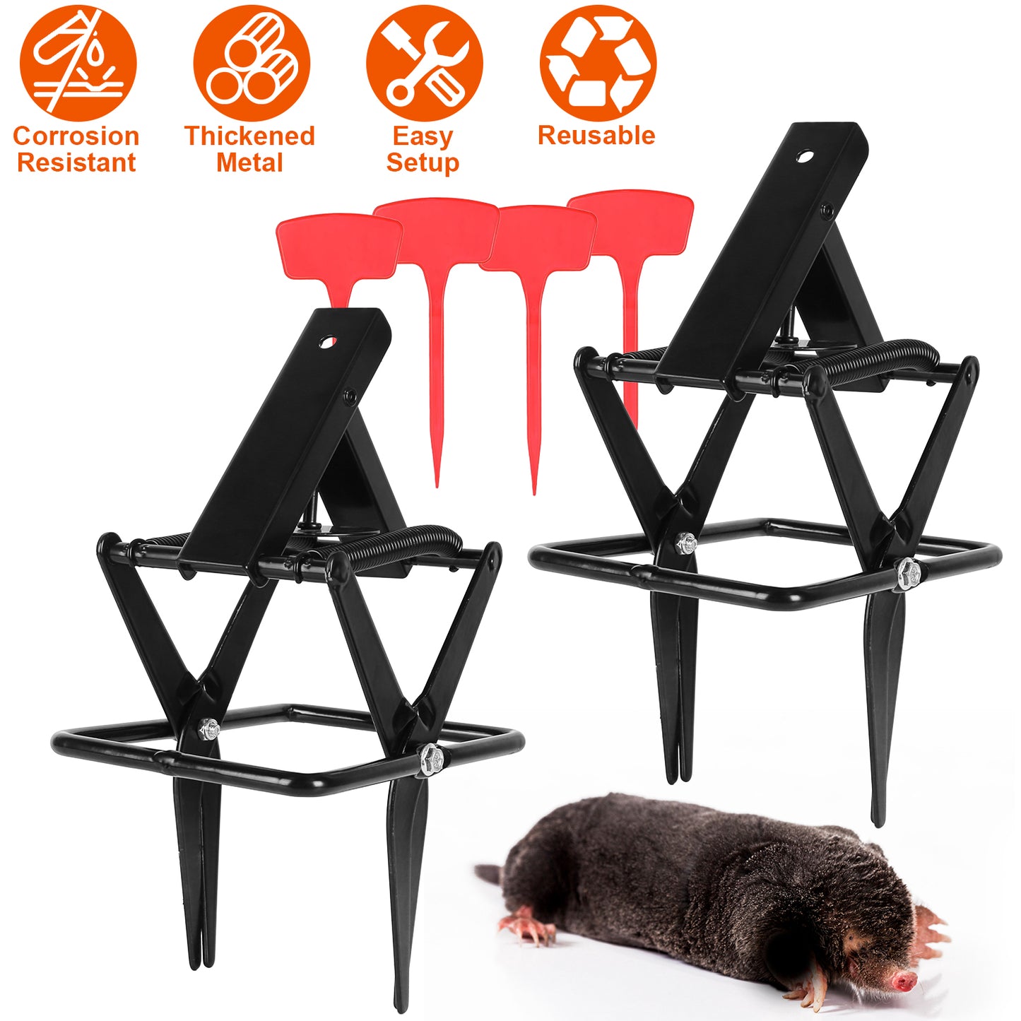 Mole Scissor Trap Set - 2 Pack Reusable Metal Outdoor Traps