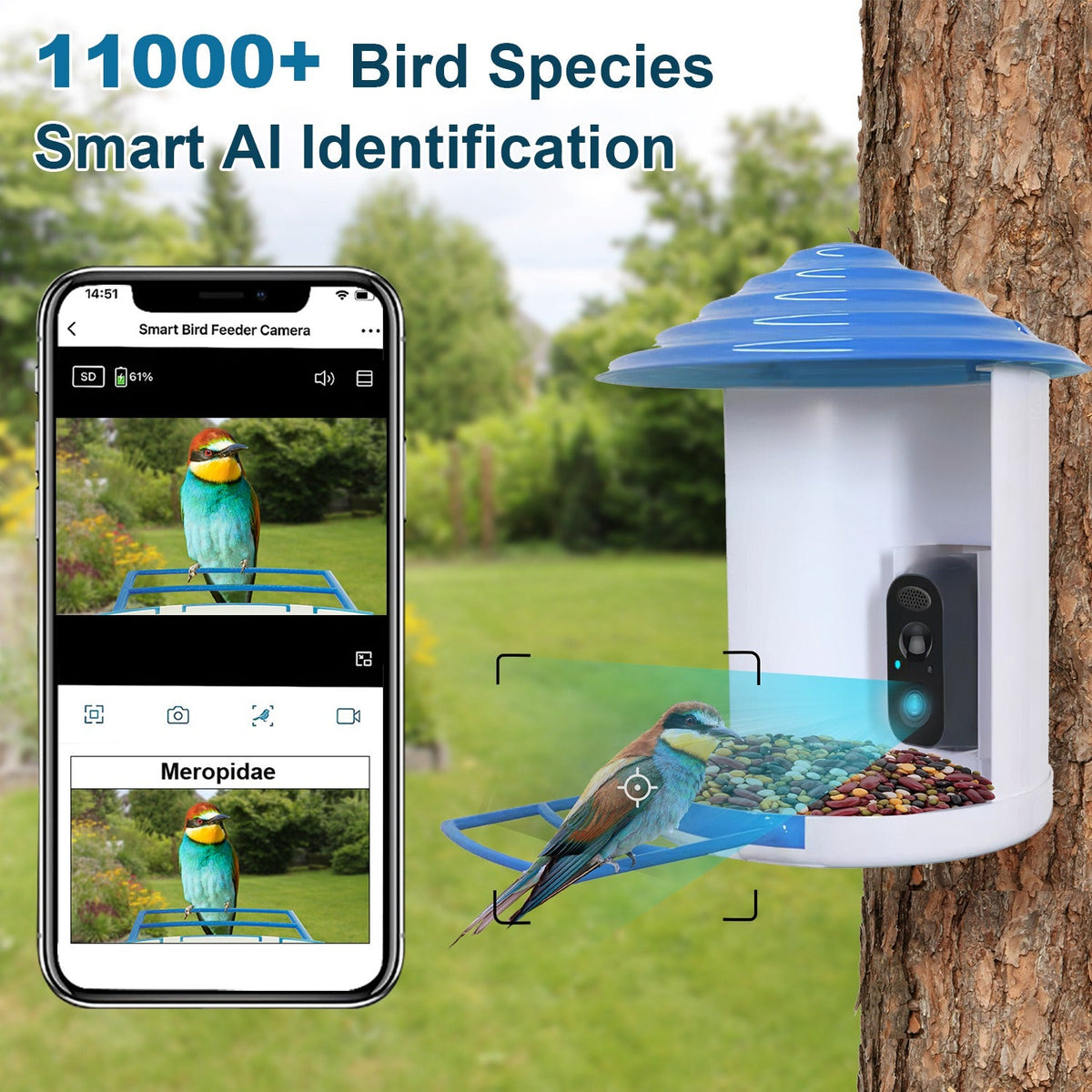 Smart Bird Feeder with Solar Powered Camera 1080P HD AI Identify PIR Motion Auto Capture Video Cloud Card Storage WiFi Connection App Control IP65 Wat