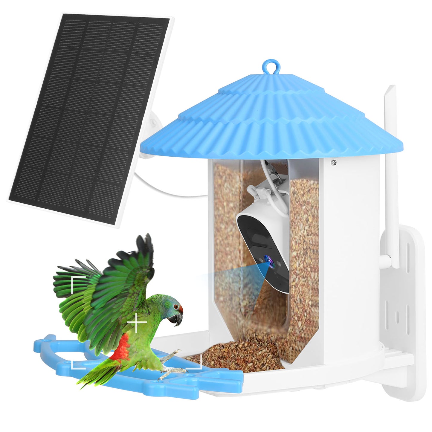 Solar Powered Smart Bird Feeder with 2K Camera & AI Identification