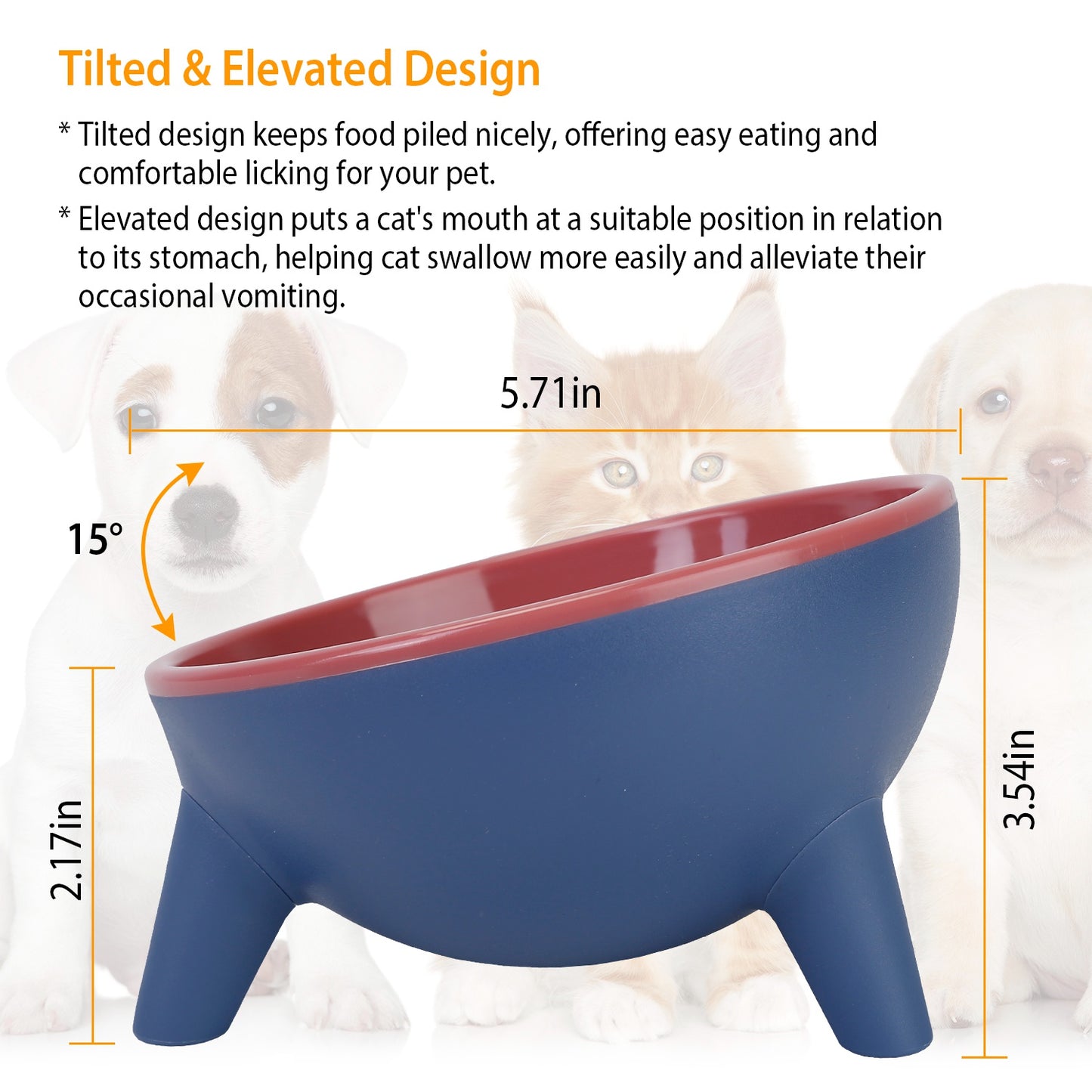 Elevated Tilted Cat Food Bowl with Backflow Prevention