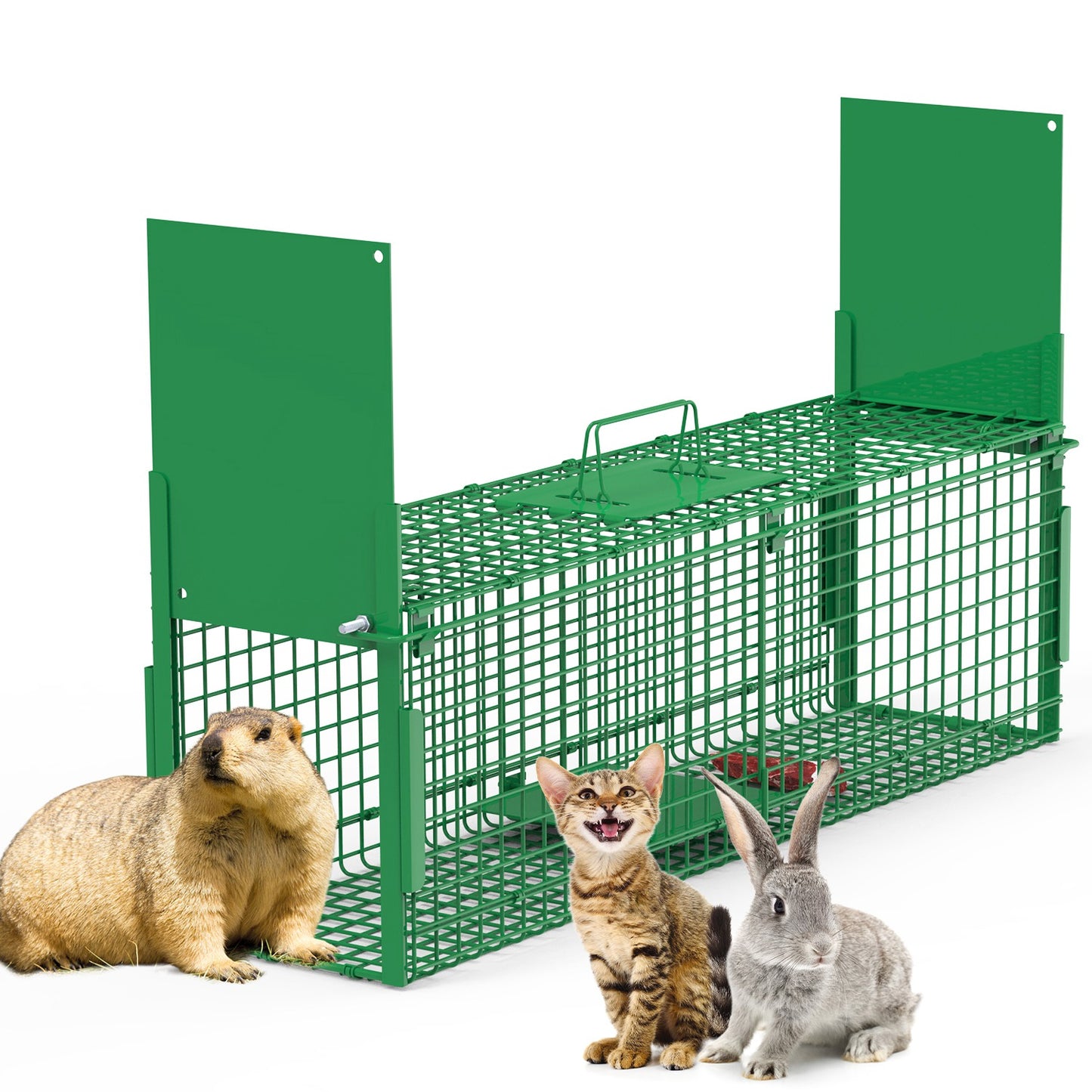 40in Humane Live Animal Trap Cage for Raccoons & Opossums