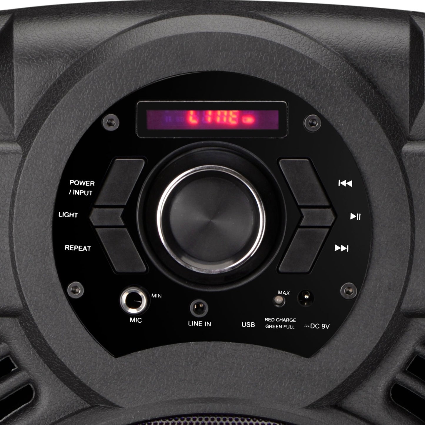 Portable PA Karaoke Speaker with 8" Subwoofer & DJ Lights