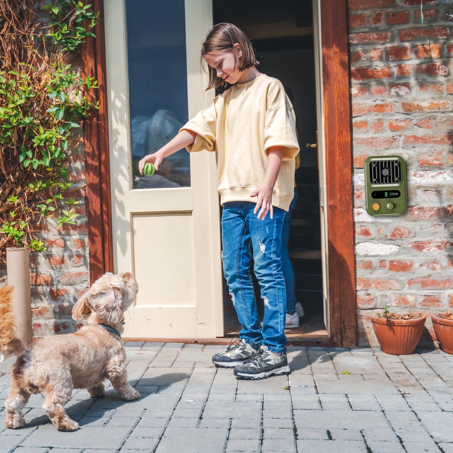 Ultrasonic Dog Bark Control Device with 3 Frequency Levels