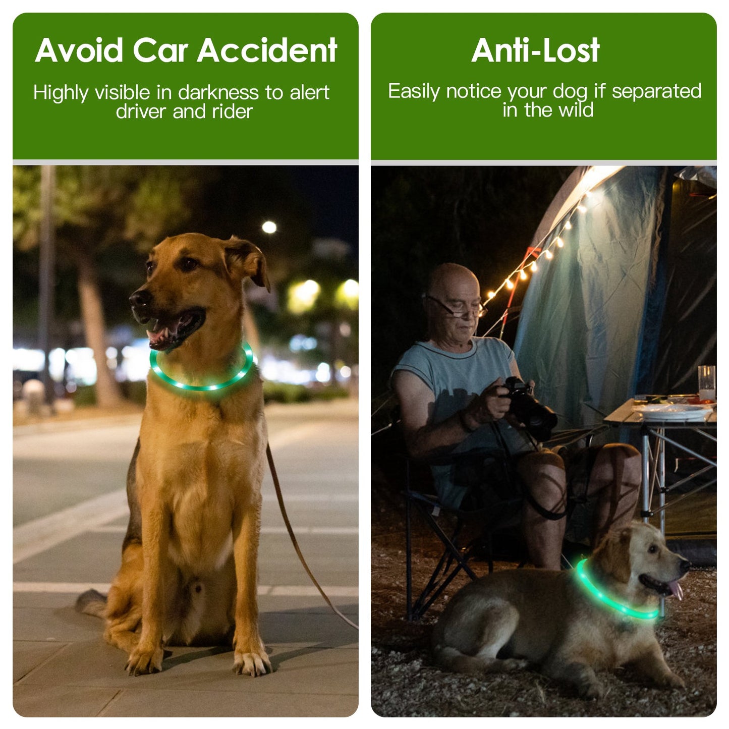 LED Dog Collar USB Rechargeable Multi-Color Safety Light