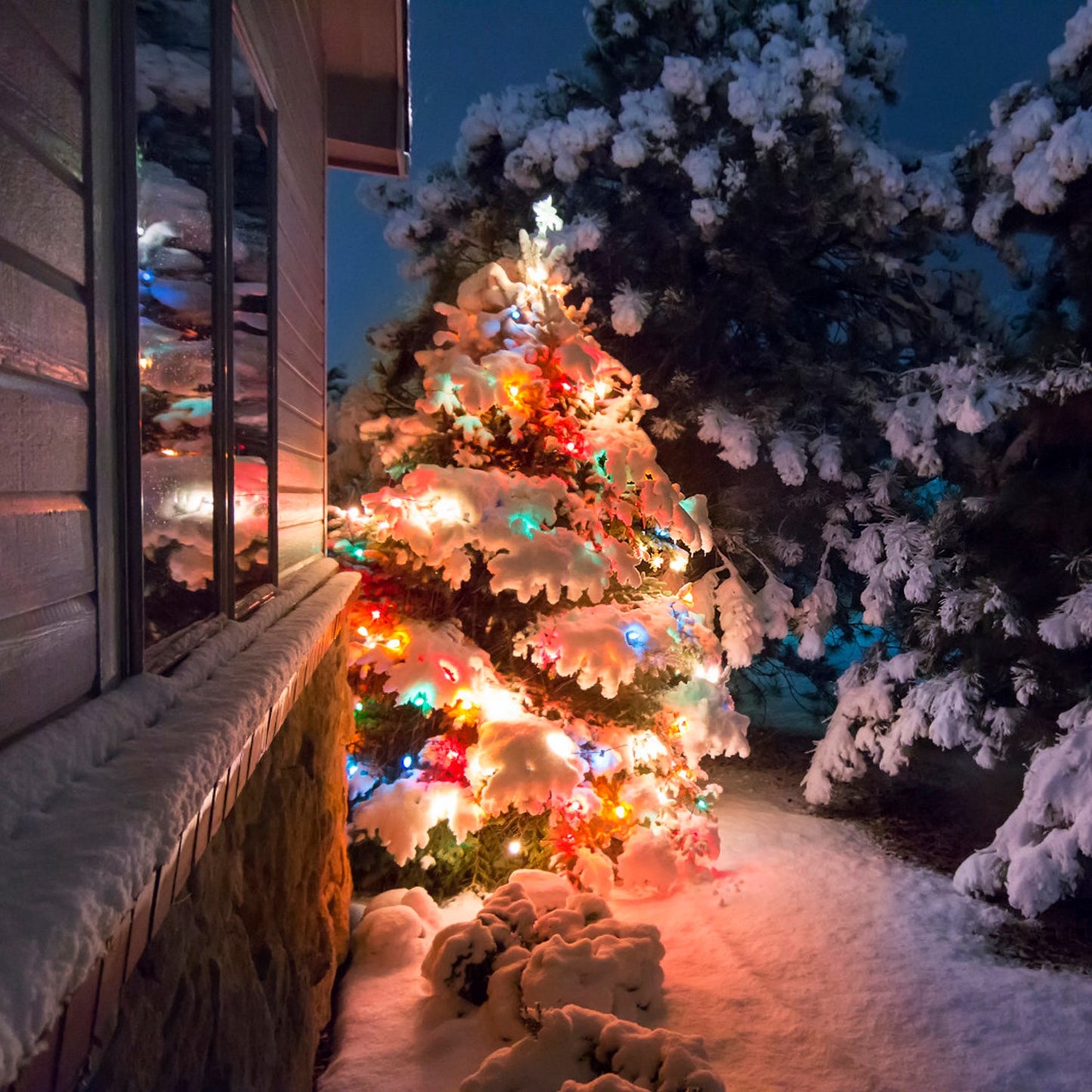 330FT 1000 LED String Lights with Remote & Timer
