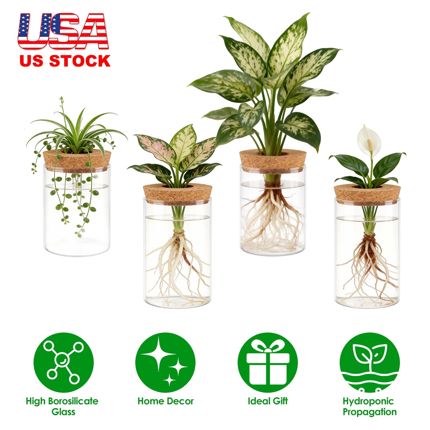 Glass Propagation Stations 4-Pack with Wood Cork Lids
