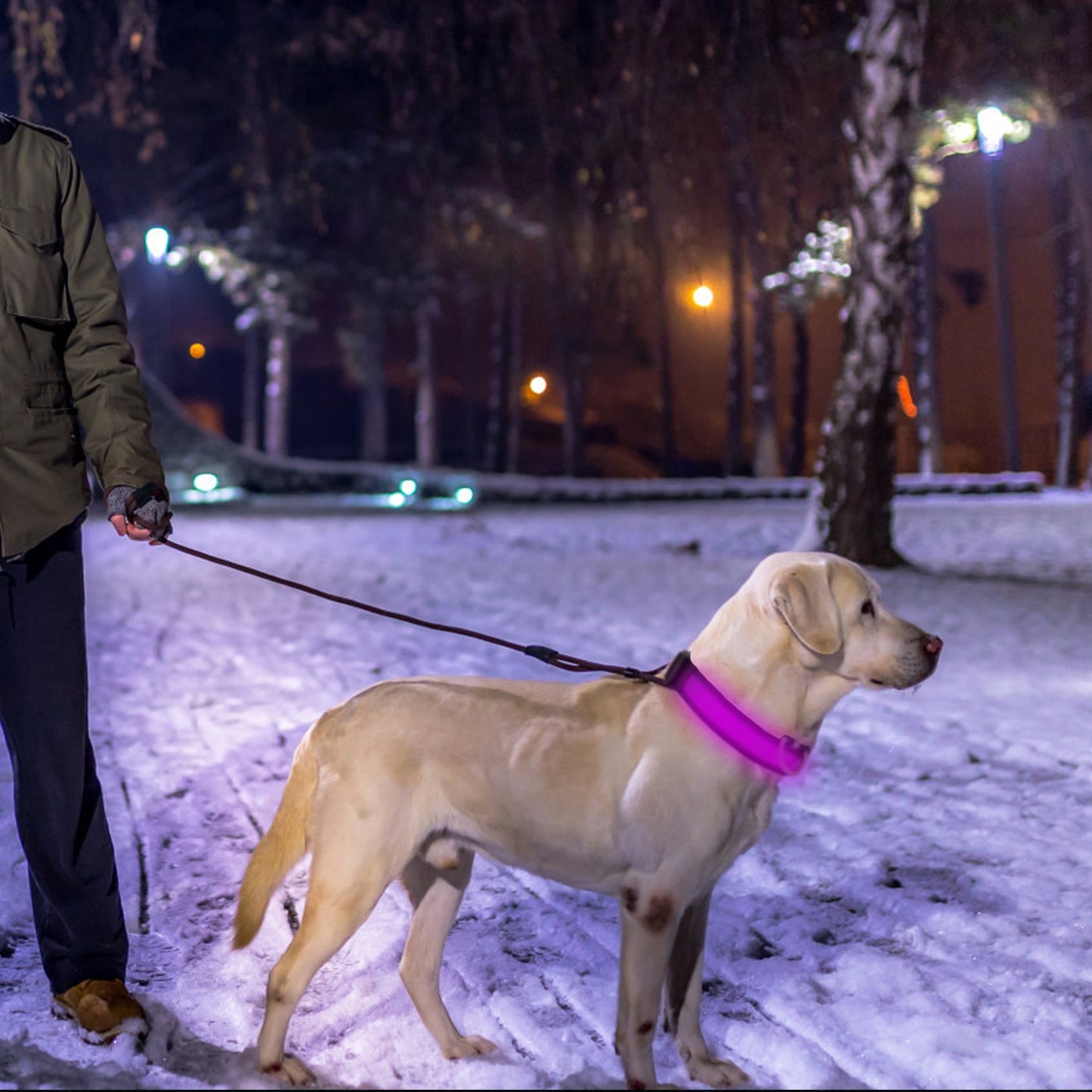 LED Dog Collar USB Rechargeable with Night Safety Lights