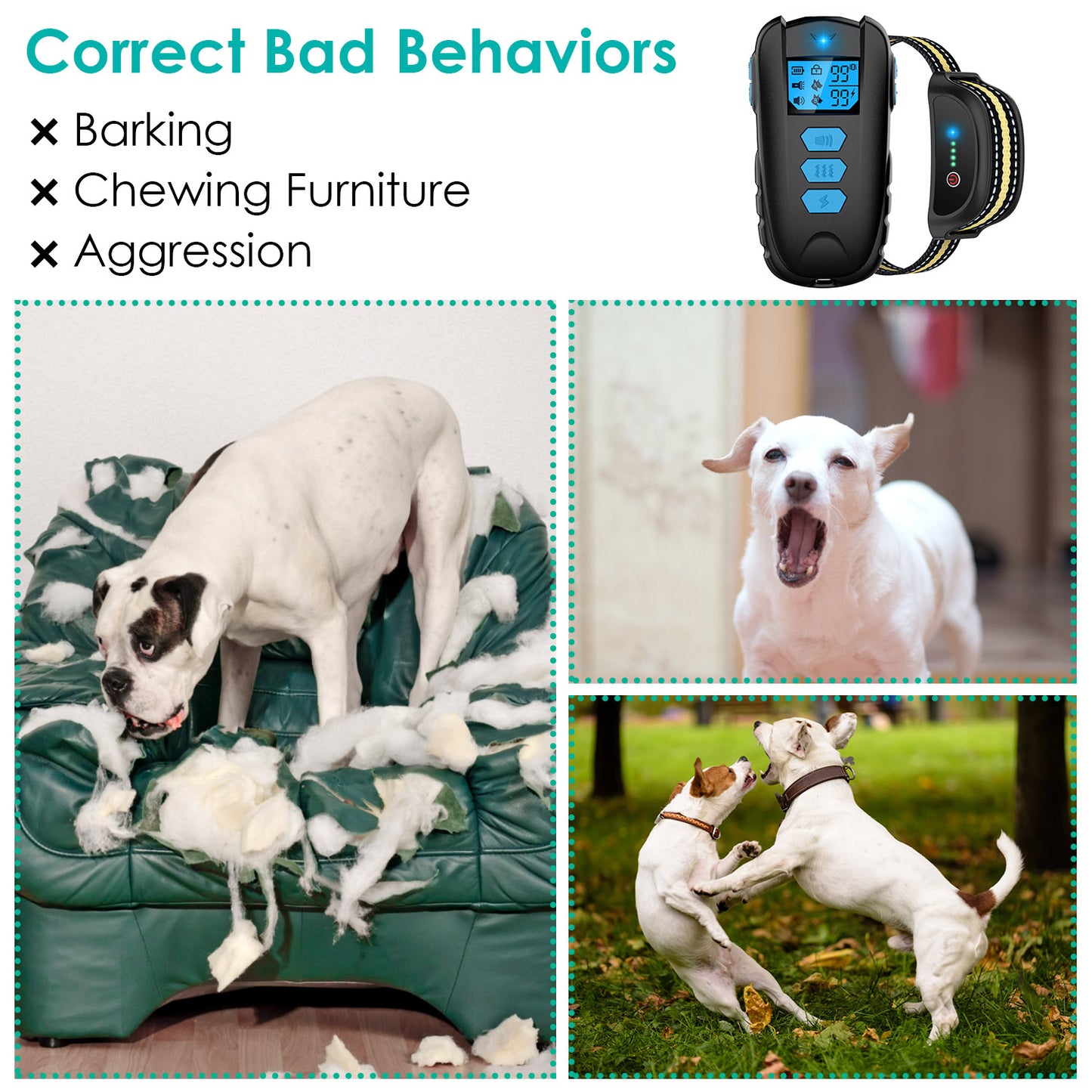 Dog Training Collar with Remote – 820ft Range, 3 Modes
