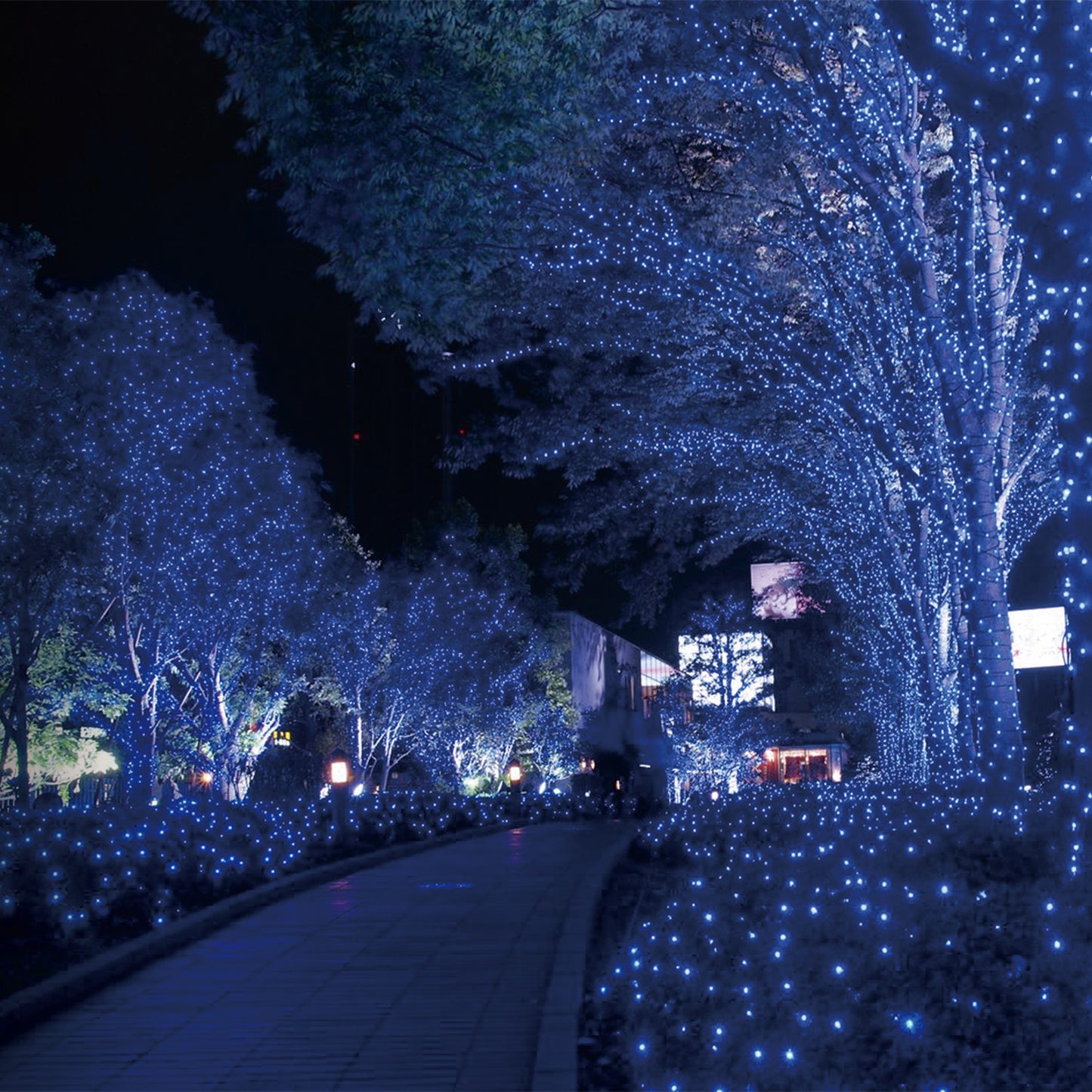 Solar String Lights 100 LED 40ft Outdoor Waterproof Cool White