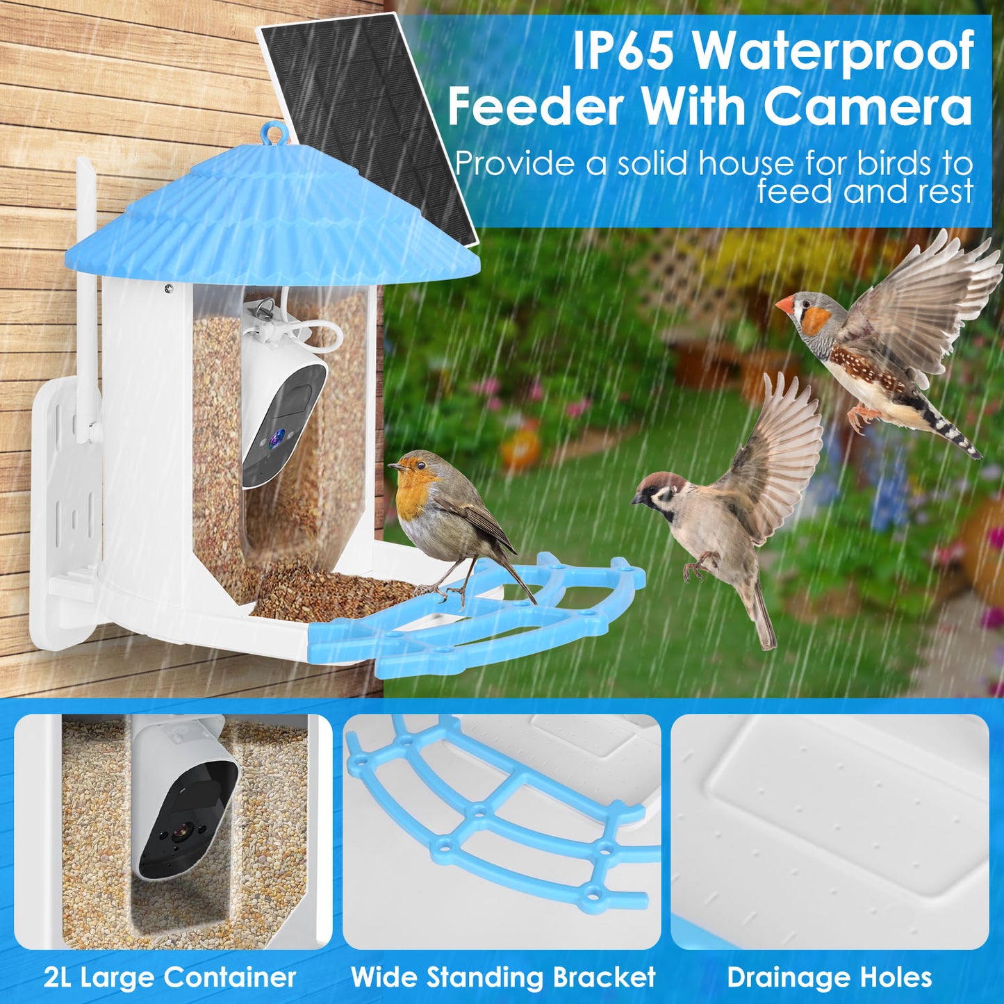 Solar Powered Smart Bird Feeder with 2K Camera & AI Identification