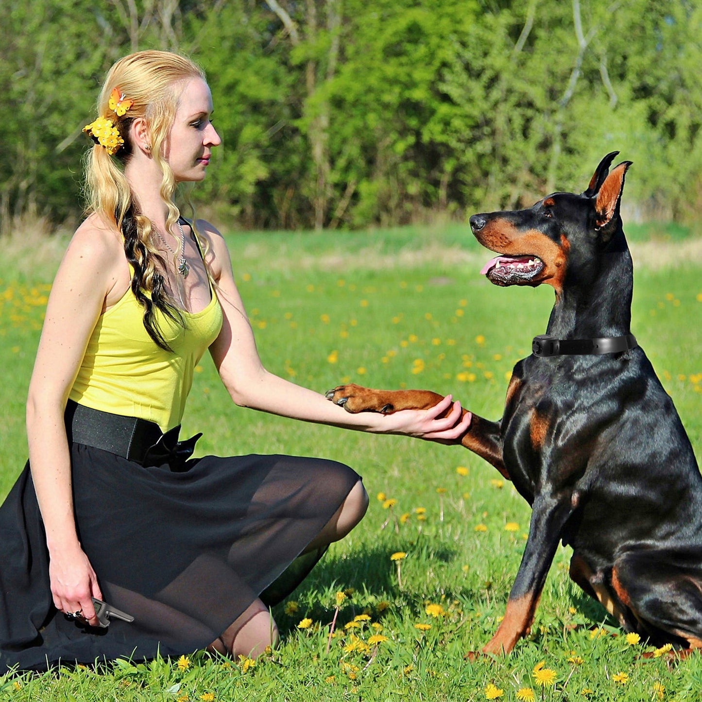 Dog Training Collar Receiver with 9 Levels & IP67 Waterproof
