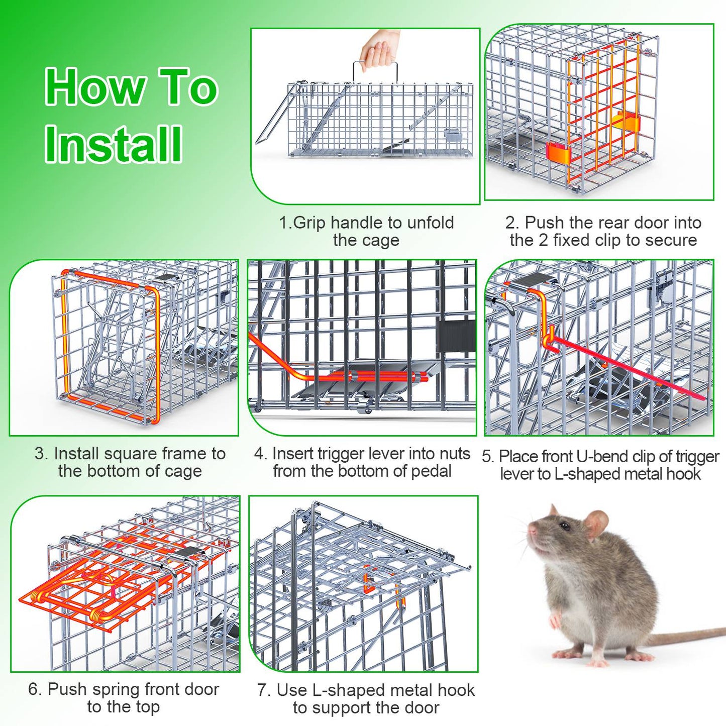 Foldable Humane Rat Trap Cage - 2 Pack Galvanized Steel