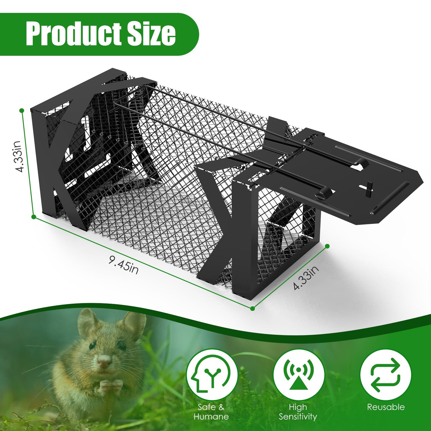 Humane Mouse Trap Cage 2-Pack - Live Catch & Release