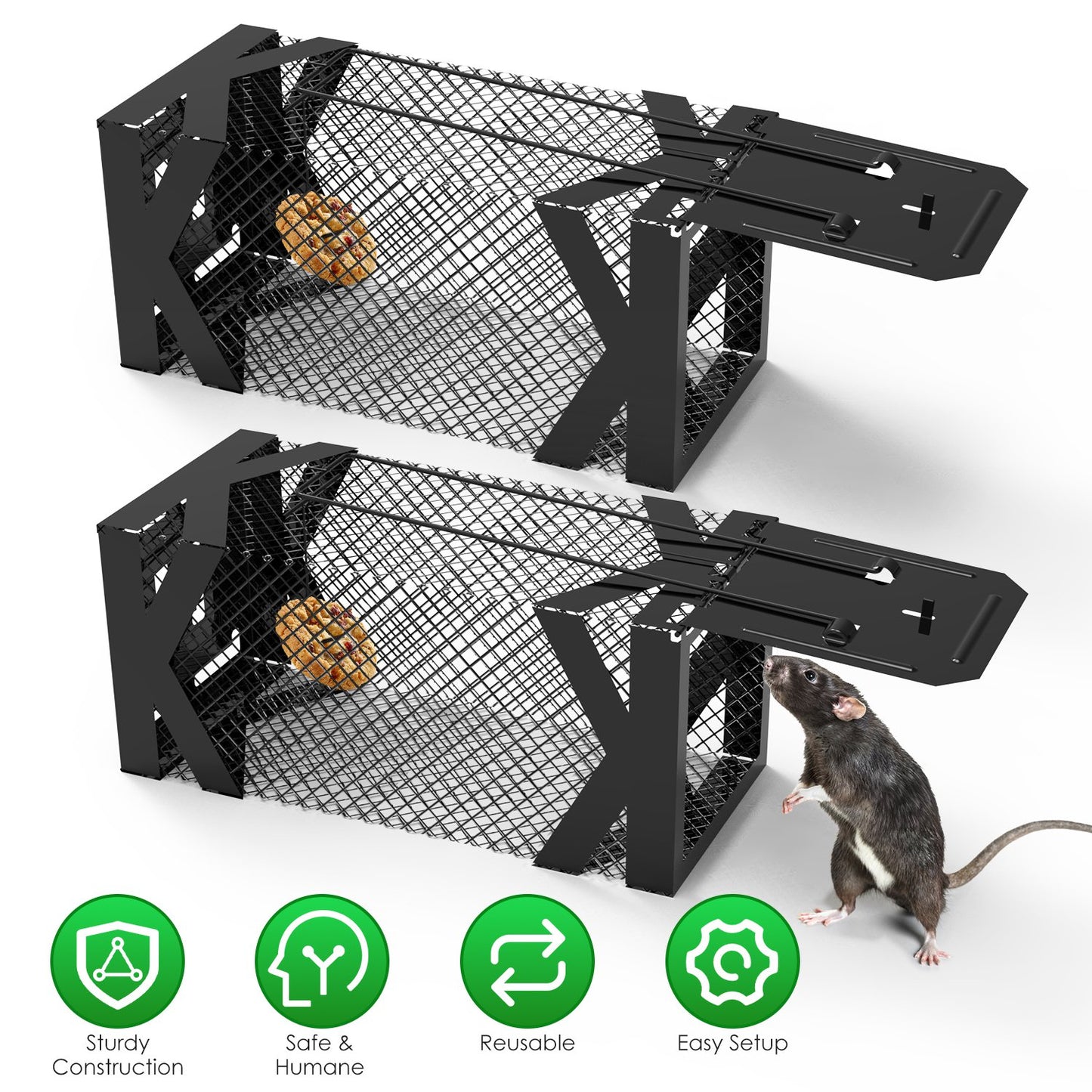Humane Mouse Trap Cage 2-Pack - Live Catch & Release