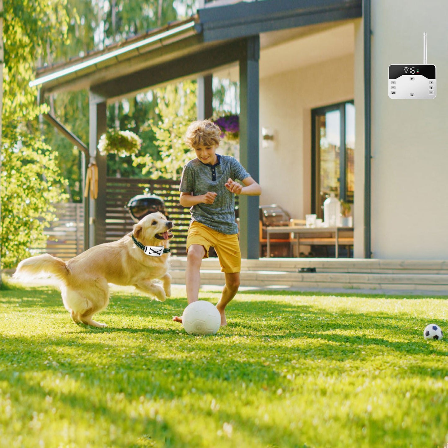Wireless Electric Dog Fence & Training Collar System
