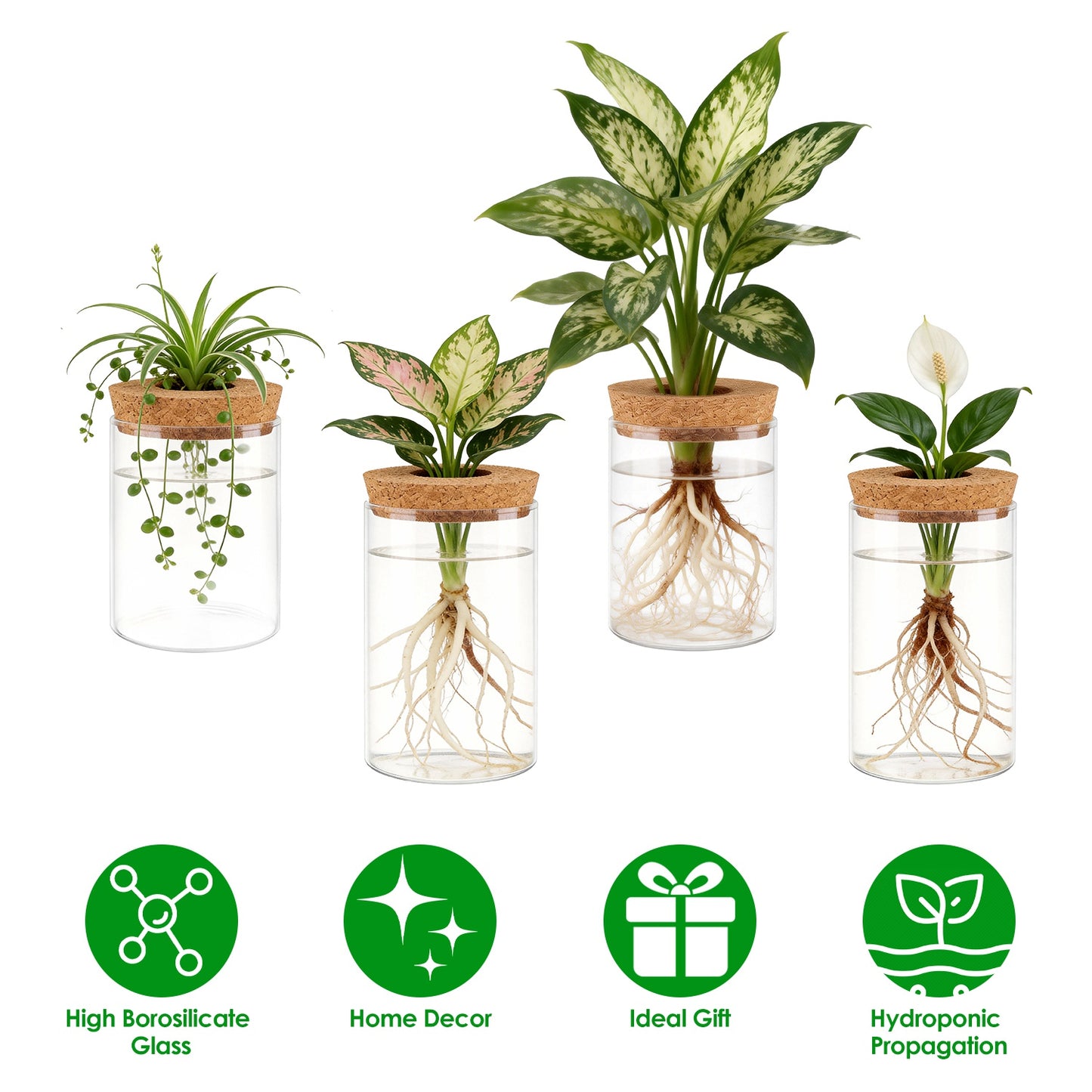 Glass Propagation Stations 4-Pack with Wood Cork Lids