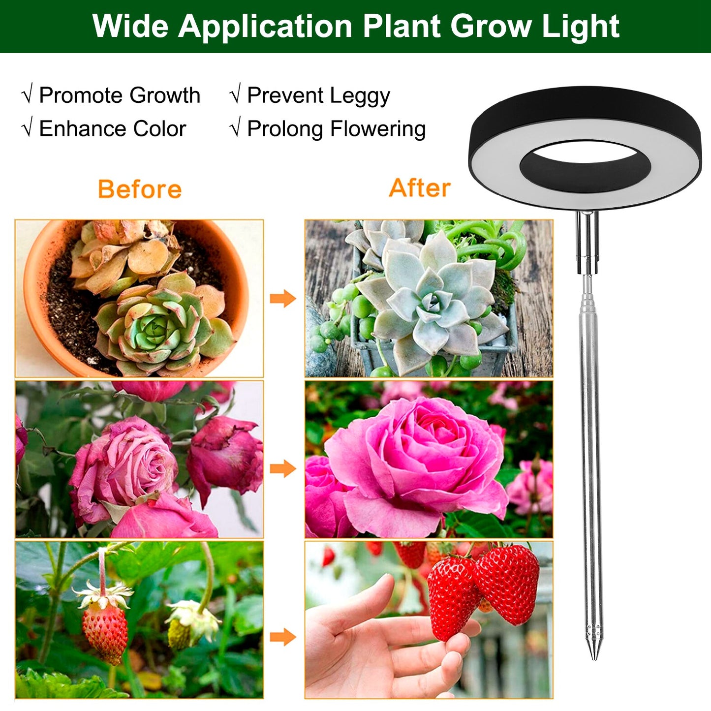 LED Plant Grow Light with Auto Timer & Adjustable Height