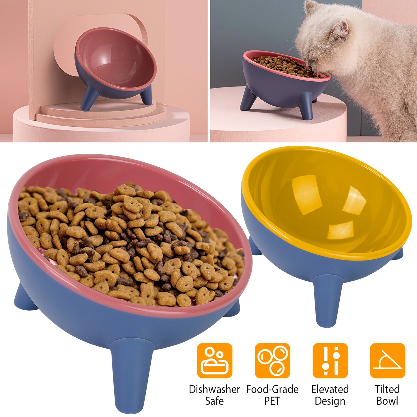 Elevated Tilted Cat Food Bowl with Backflow Prevention