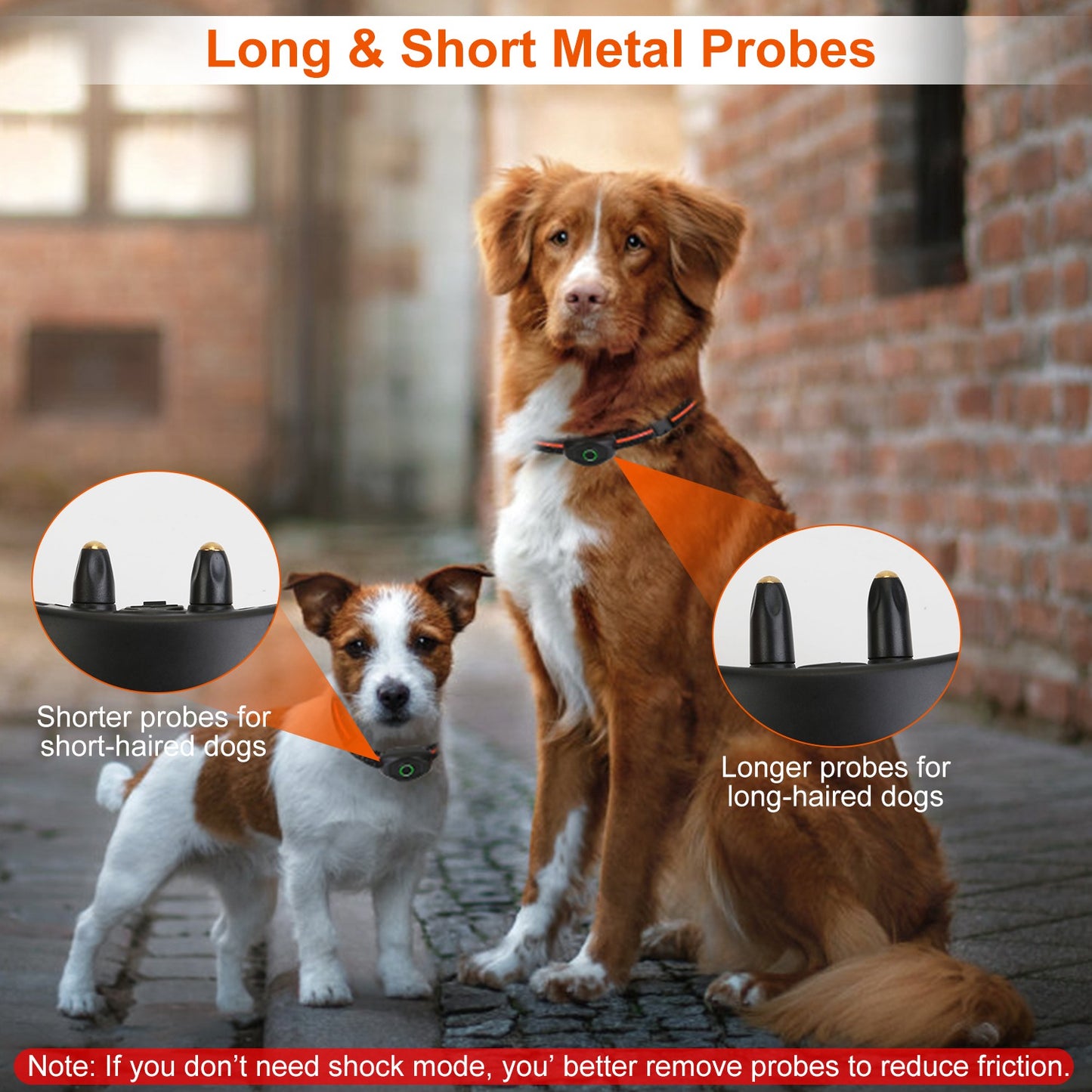 Dog Training Collar with Remote – Waterproof Rechargeable