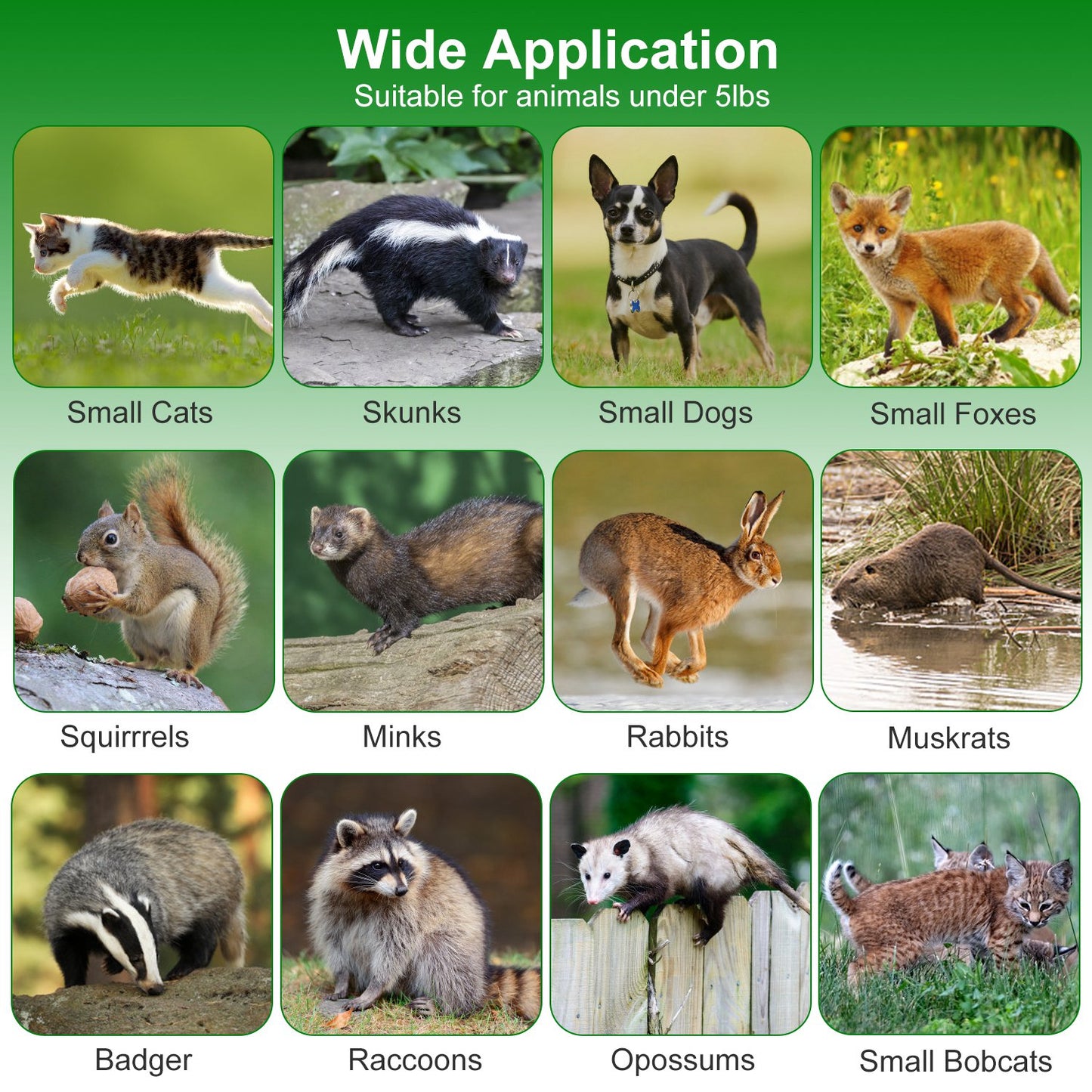 40in Humane Live Animal Trap Cage for Raccoons & Opossums