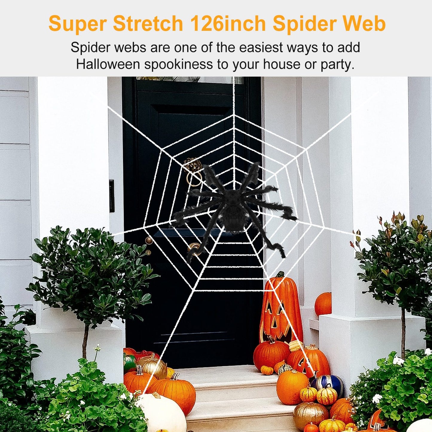 Giant Halloween Spider Decoration with 126" Web - 49 Inch