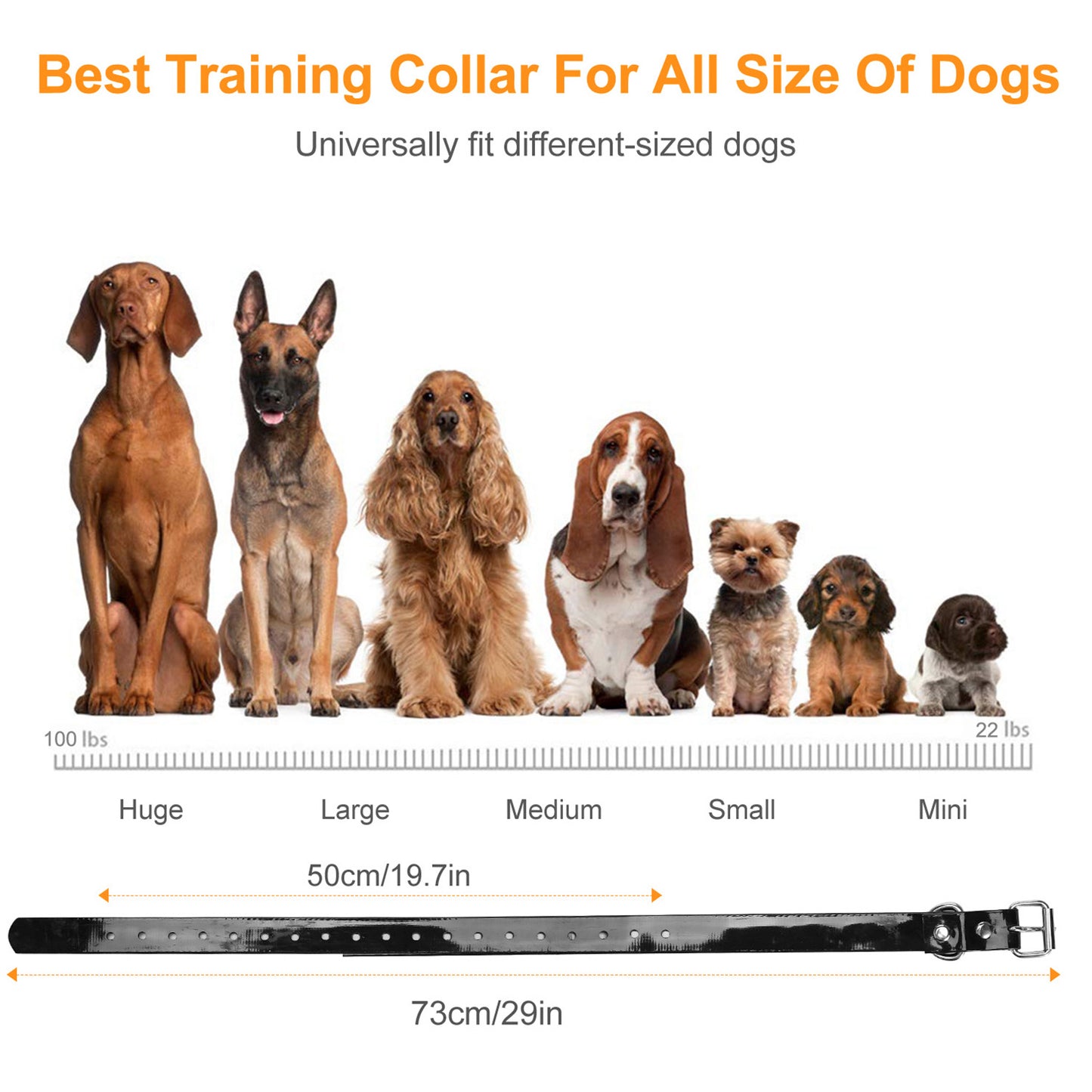 Dog Training Collar Receiver with 9 Levels & IP67 Waterproof