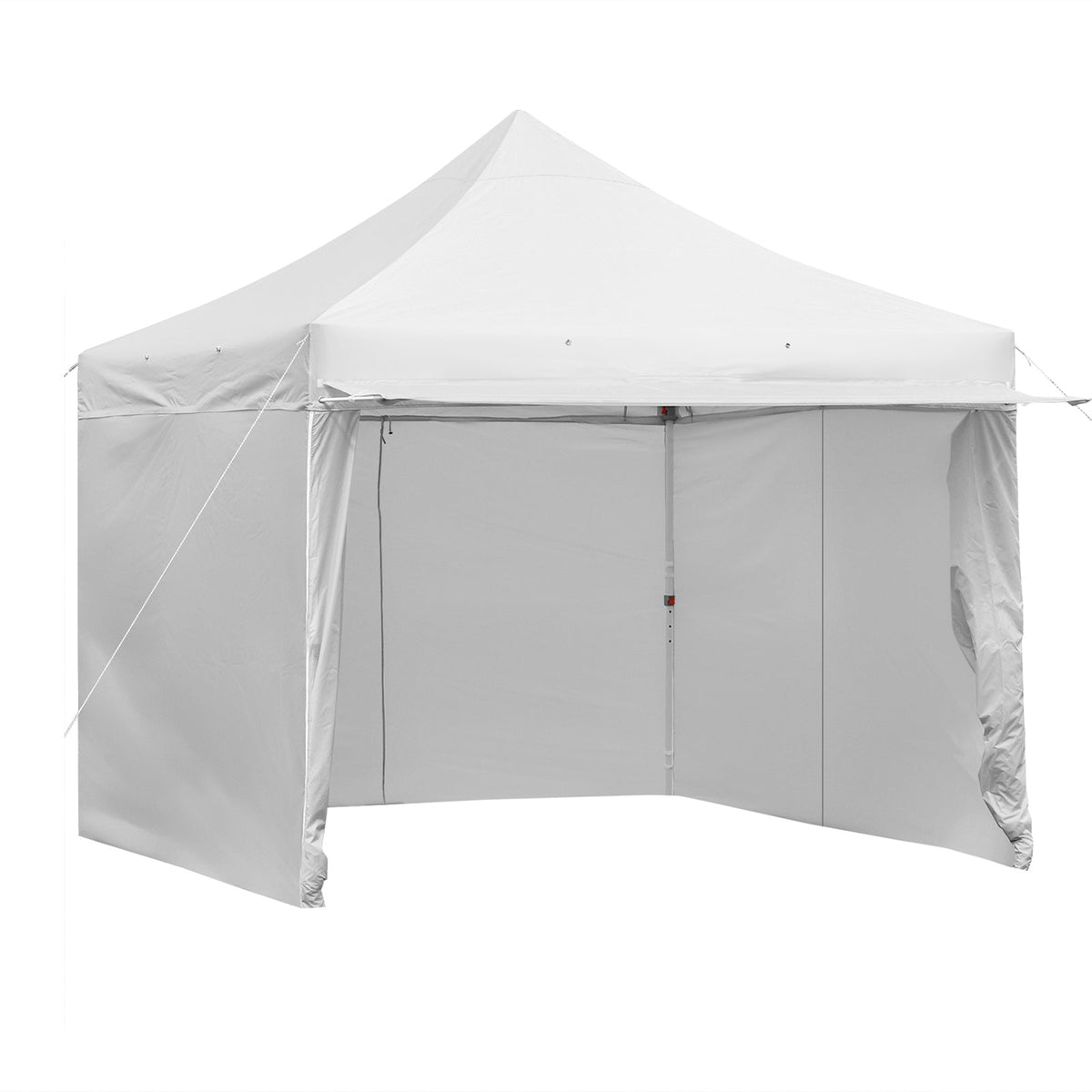 10 x 10 Feet Pop